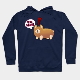 What?! Corgi Hoodie